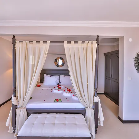 In House (adults Only) * Kas