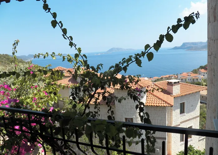 In House (adults Only)