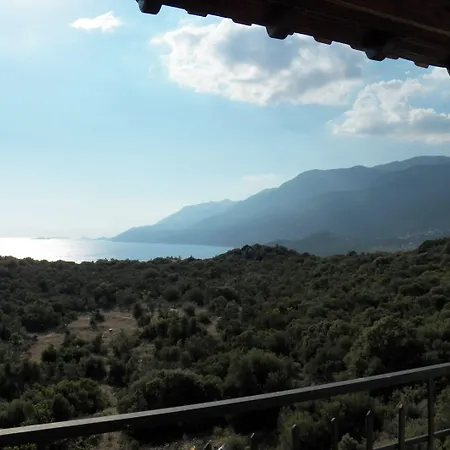 In House (adults Only) *