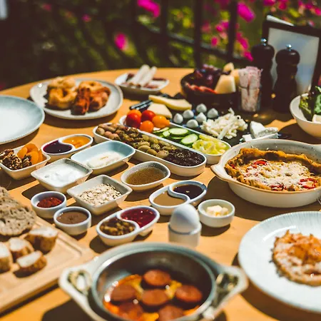 In House (adults Only) Auberge de jeunesse *