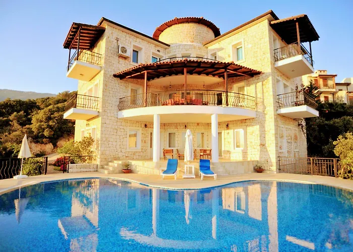 In House (adults Only)