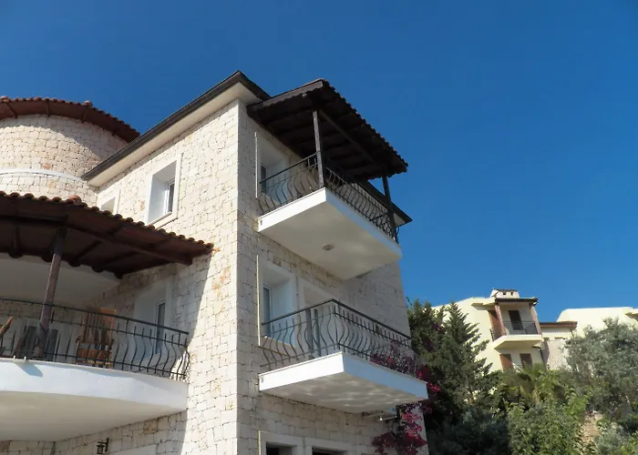 In House (adults Only)