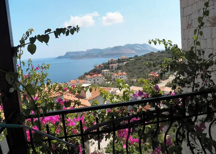 In House (adults Only) * Kas