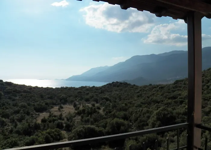 In House (adults Only) *