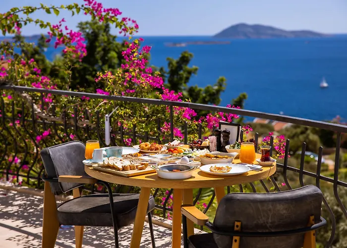 Hostel In House (adults Only)