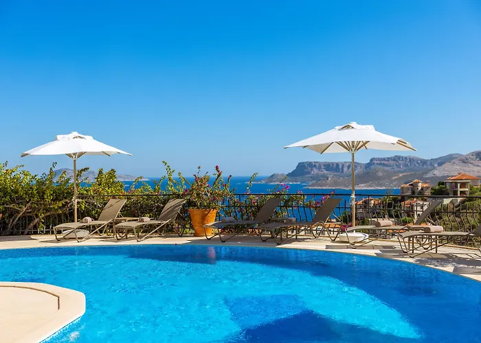 In House (adults Only) *