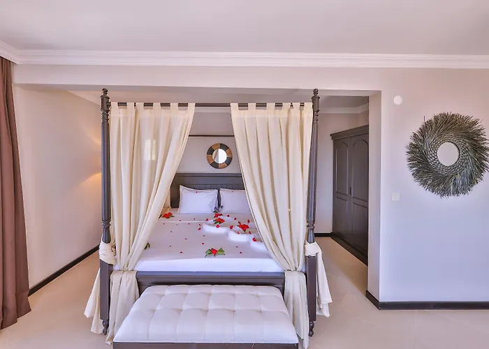 In House (adults Only) * Kas