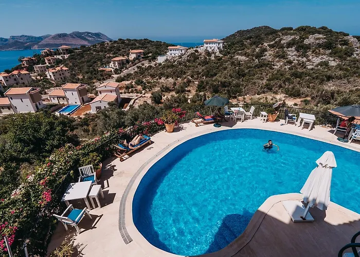 Hostel In House (adults Only)