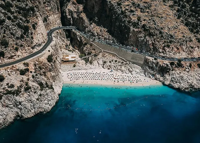 In House (adults Only)