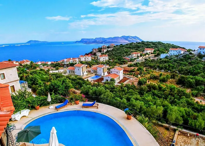 In House (adults Only) * Kas